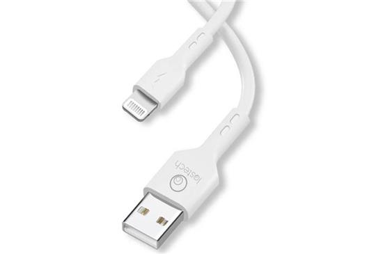 CAVI RICAR.TEL.LIGHTNING CM100 BIAN